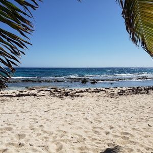 Meet your Posher, Carol